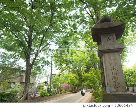 Approach to Musashi Ichinomiya Hikawa Shrine in Saitama Prefecture 53605484
