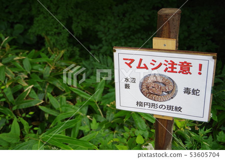 Viper Viper 53605704