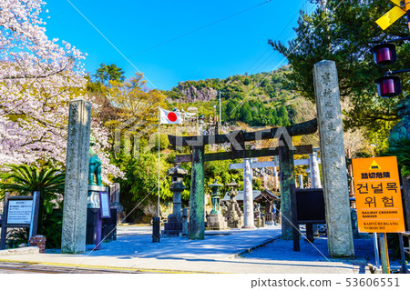 Cherry blossoms of Arita Tousan Shrine [Saga Prefecture] 53606551