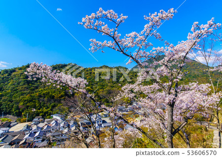 有田Tousan神社的櫻花[佐賀縣] 53606570