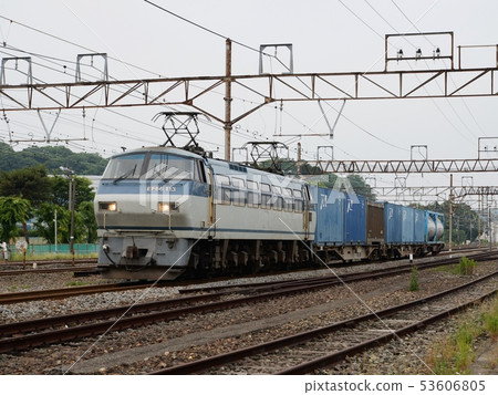 Morning EF 66 Morning EF 66 53606805
