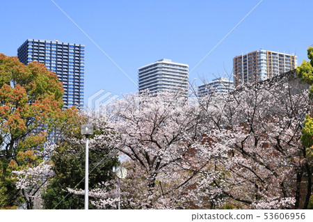 From Sakura and Musashi Kosugi High-rise Buildings Peace Park 53606956