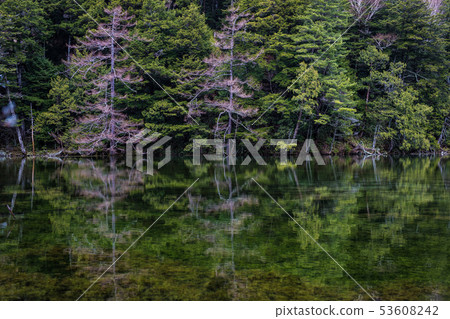 Myojin Pond 53608242