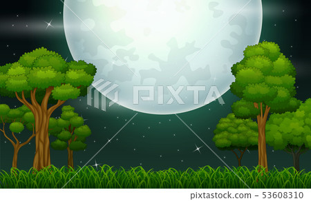 Night time forest landscape with a Full moon - Stock Illustration ...