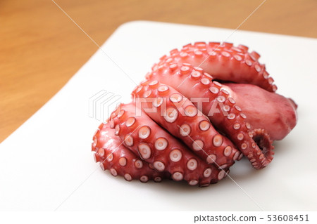 Octopus (boiled octopus). Octopus (boiled octopus). 53608451