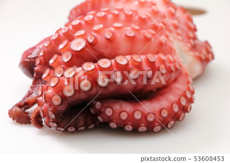 Octopus (boiled octopus). Octopus (boiled octopus). 53608453
