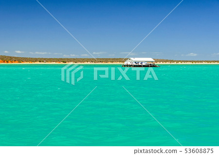 Floating pontoon - Monkey Mia 53608875