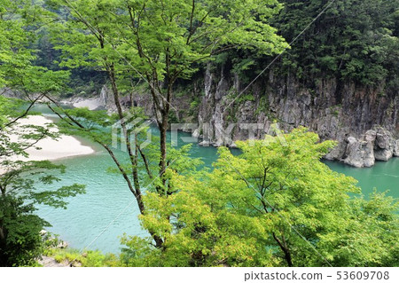 Kogyo Kogyo 53609708