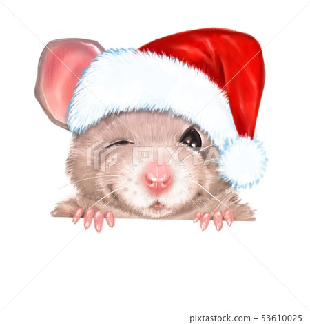 Illustration of dressed rat with red Sants hat 53610025