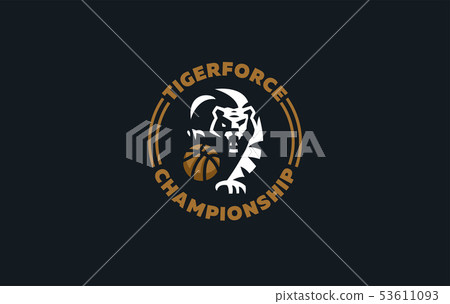 The image of a tiger 53611093