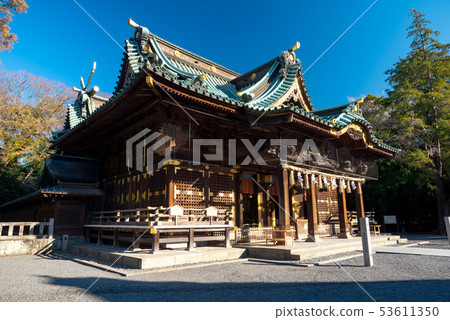 Autumn Mitaka Taisha 53611350