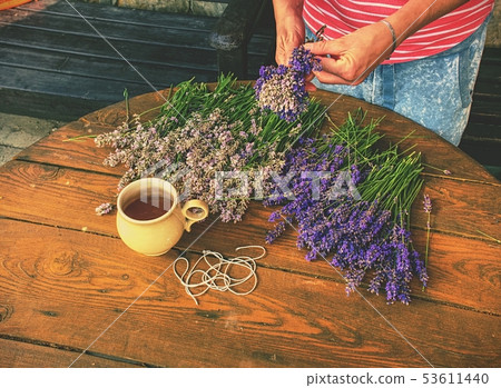 Bundles of fresh medical tied herbs hanging on Bundles of fresh medical tied herbs hanging on 53611440