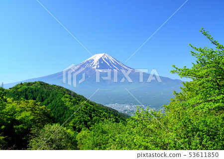 Scenery of Mt. Fuji growing in fresh green seen from the old Misaka Pass over Lake Kawaguchi 53611850