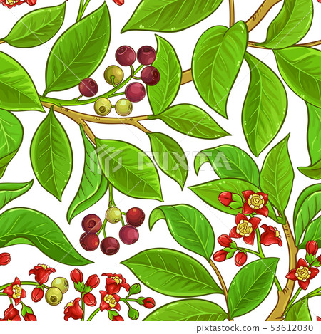 sandalwood vector pattern 53612030