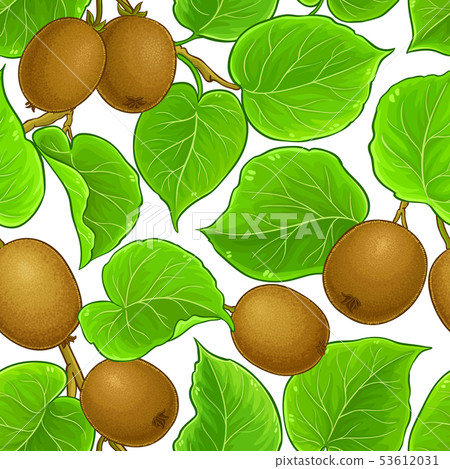 kiwi vector pattern 53612031