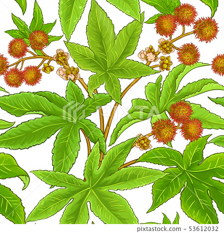 castor vector pattern 53612032