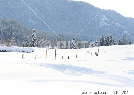 雪 雪 53612041