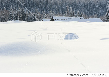 雪 雪 53612042