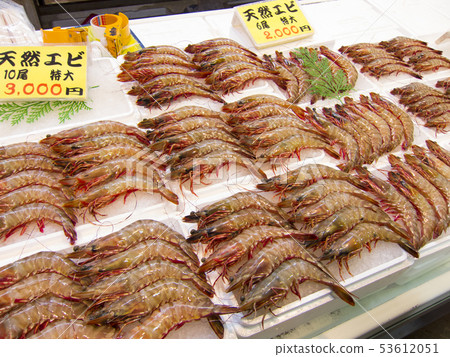 帶頭的蝦市場 帶頭的蝦市場 53612051
