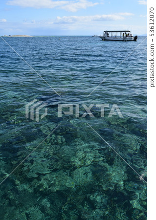 Snorkeling Snorkeling 53612070