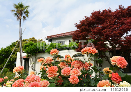 橫濱 - 山手 橫濱 - 山手 53612916