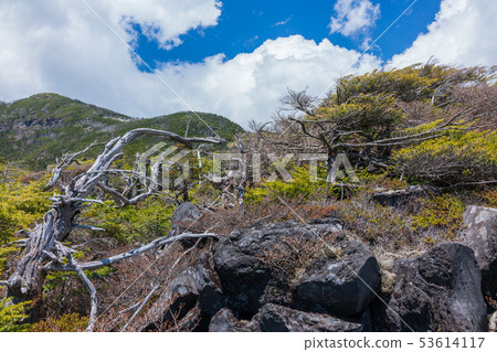 Tsuboiwa自然花園：Kita Yatsugatake Ropeway Chino City 53614117