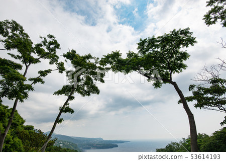 Coastal scenery of Izu Okawa Coastal scenery of Izu Okawa 53614193