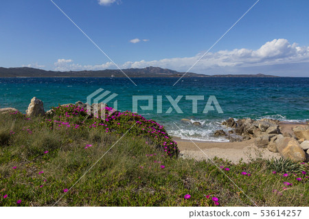 Costa Smeralda seascape with beautiful turquoise water and purpl 53614257
