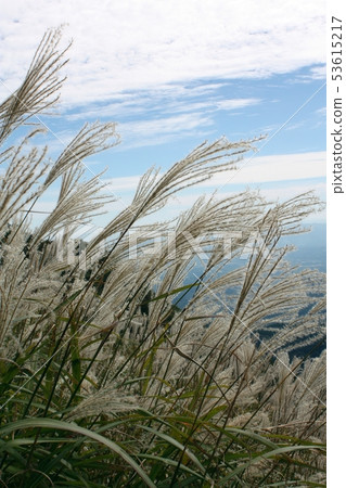 Yufudake in autumn 53615217