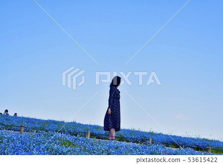 Woman who stands in blue Woman who stands in blue 53615422