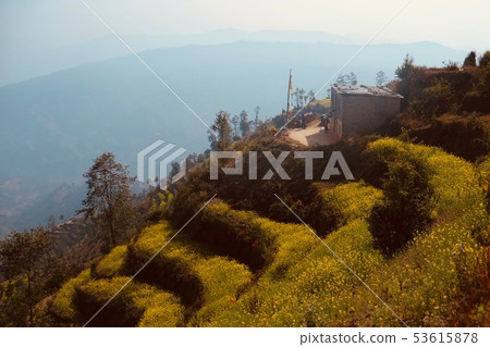 Kathmandu Valley Nagarucot Hiking Rape Flower Terraces Kathmandu Valley Nagarucot Hiking Rape Flower Terraces 53615878