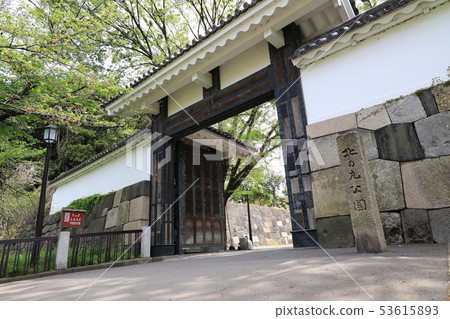 Edo Shirota Anmon 53615893