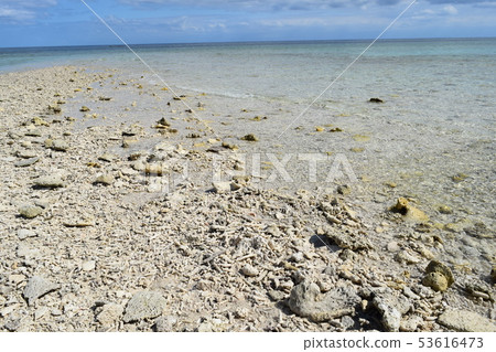 巴拉斯島 巴拉斯島 53616473