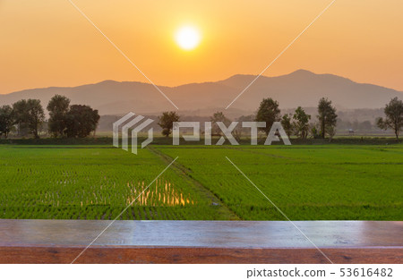 Empty wood table top on Landscape of Green rice Empty wood table top on Landscape of Green rice 53616482