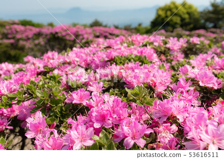 Kyozuka Mountain and Miyama Kirishima 53616511