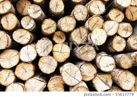 Natural cut wood logs texture background Natural cut wood logs texture background 53617779