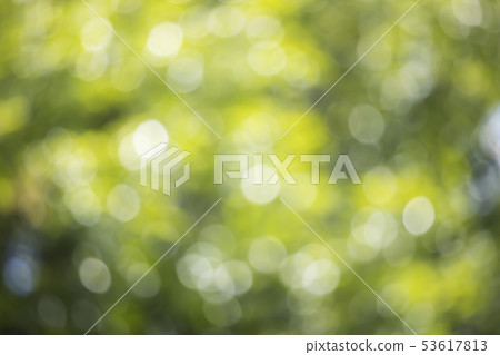 Blurred green nature bokeh abstract background 53617813