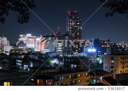 Hijiri Sakuragaoka night view from Iroha Saka Sakura Park 53618017