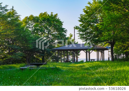 多摩市東京都櫻木公園Yuuinooka 53618026