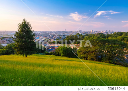 Tama City Tokyo Metropolitan Sakuragaoka Park Yuhinooka evening view Tama City Tokyo Metropolitan Sakuragaoka Park Yuhinooka evening view 53618044