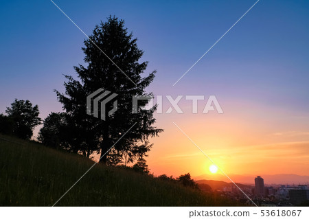 多摩市東京都櫻木公園Yuhinooka晚上視圖 53618067