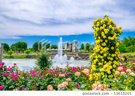 Gunma Flower Park / Barafesta Gunma Flower Park / Barafesta 53618201