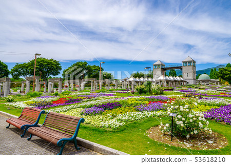 Gunma Flower Park / Barafesta Gunma Flower Park / Barafesta 53618210
