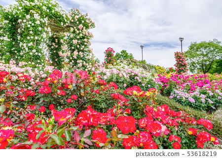 Gunma Flower Park / Barafesta Gunma Flower Park / Barafesta 53618219