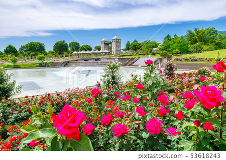 Gunma Flower Park / Barafesta 53618243