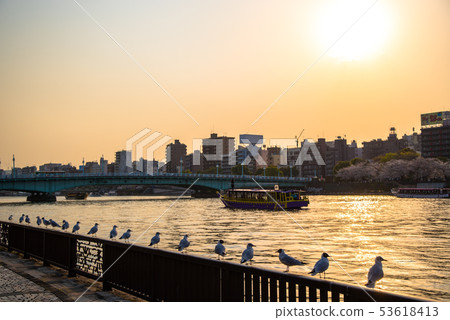 隅田川黃昏 隅田川黃昏 53618413