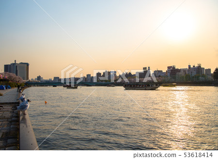 隅田川黃昏 隅田川黃昏 53618414