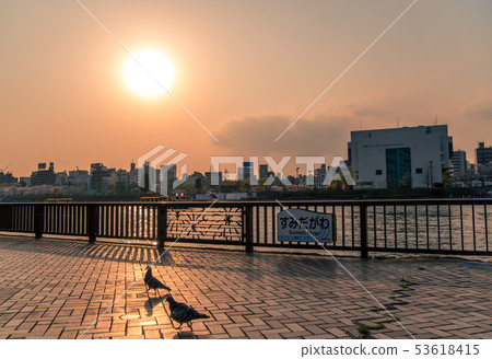 隅田川黃昏 53618415