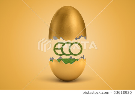 3d rendering of green grass ECO sign hatching out of golden egg on yellow background 3d rendering of green grass ECO sign hatching out of golden egg on yellow background 53618920