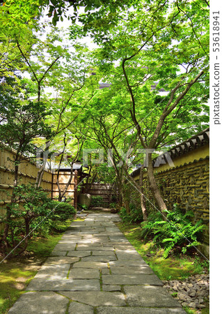 Hakata Bei of Yakusuien 53618941